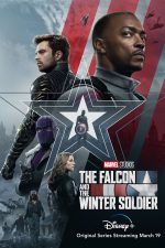 the-falcon-and-the-winter-soldier-disney-150769